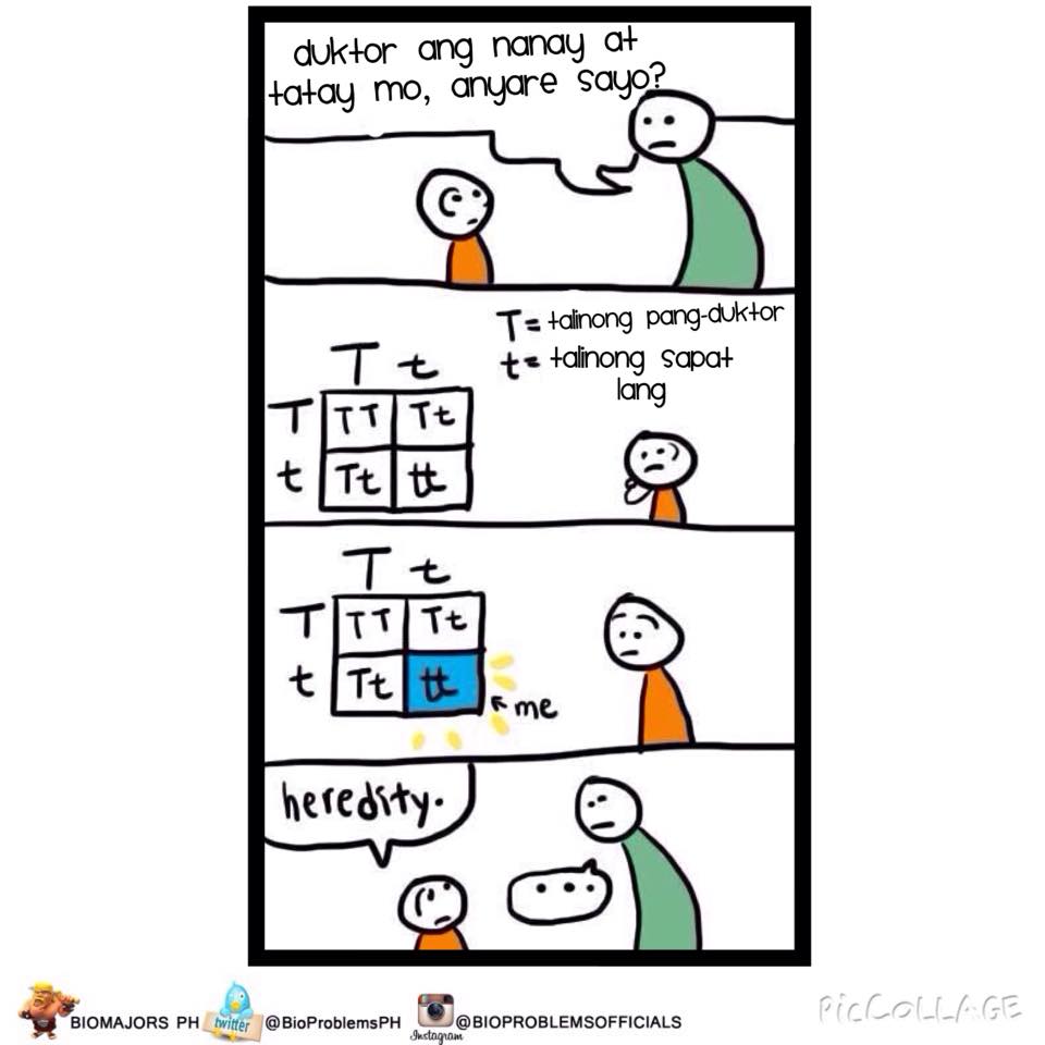 BioProblemsPH's tweet photo. Genetics. #BioProblemsPH #RecessiveTraits http://t.co/8nmyp9un9n
