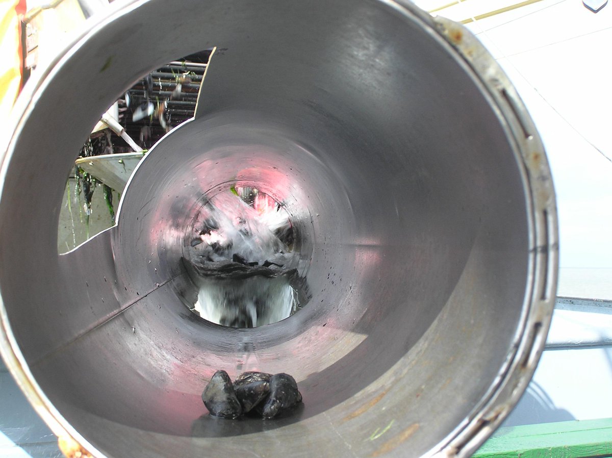 Met de automatische mosselwasser kunnen de RIVAL mosselen niet verser zijn! #murretechniek