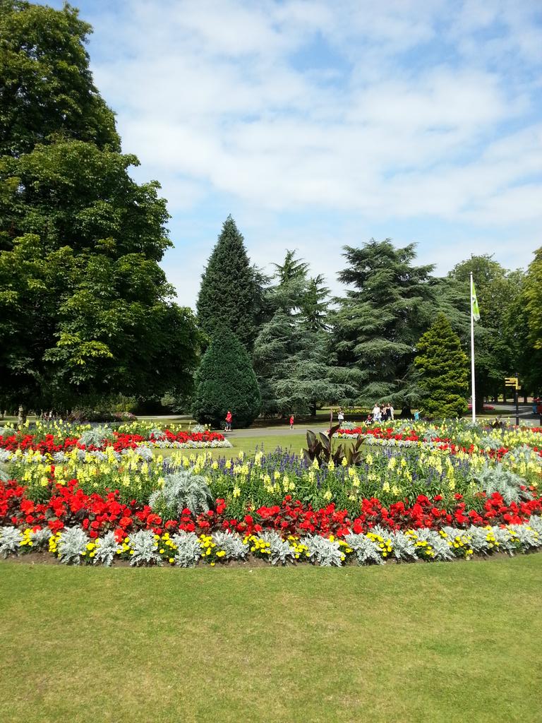 Birmingham in Bloom tweet media