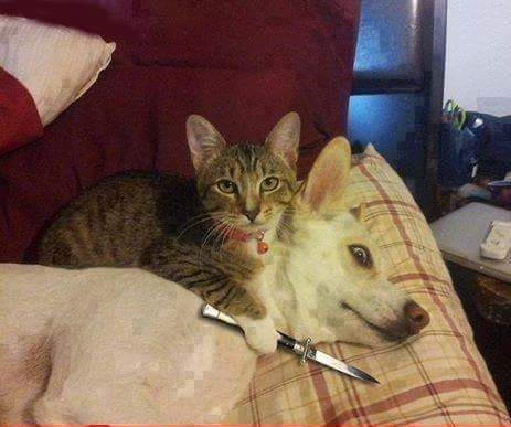 Dndbbdndndnnsns