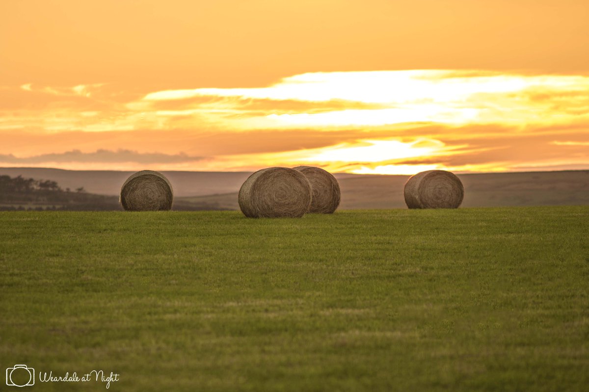 Looking down towards Wolsingham last night, from Thornley Village.