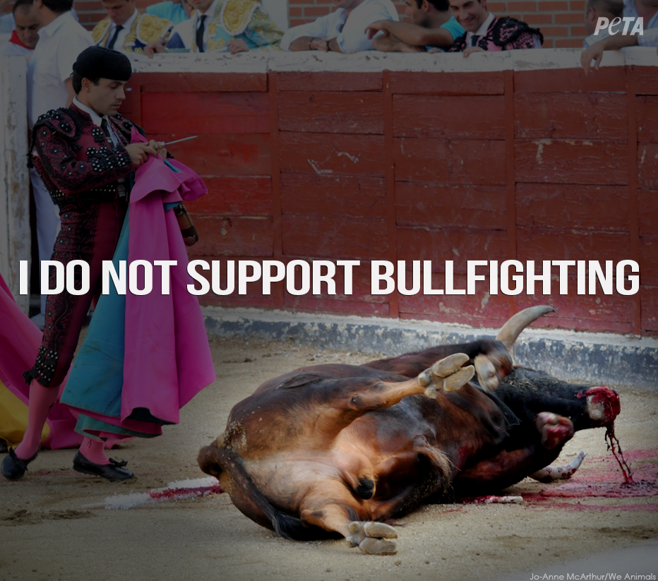 peta's tweet photo. VICTORY! #Coahuila, MX just BANNED bullfighting! Thank you @katedelcastillo for your voice: http://t.co/eEcGuSr2KT http://t.co/FZSkLCztzV