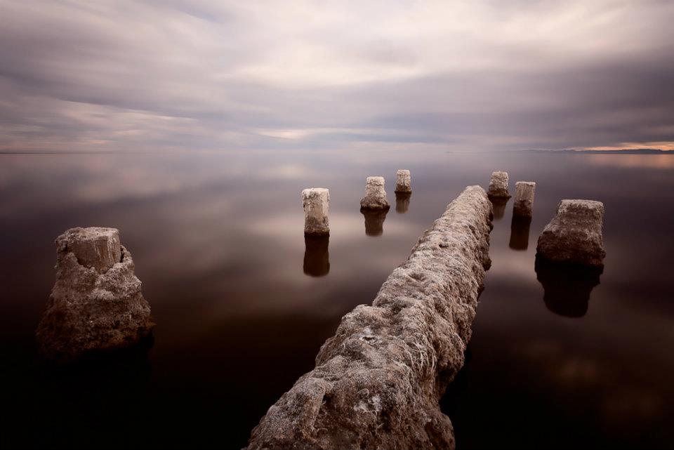 Meachele Campbell tweet media