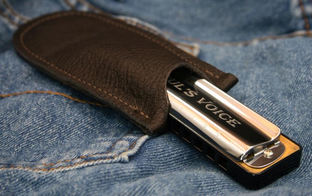 RWHarmonicas's tweet image. Soul's Voice Standard Major Diatonic Harmonica w/Phosphor Bronze Reeds:  goldharps.com/soul-s-voice-s…