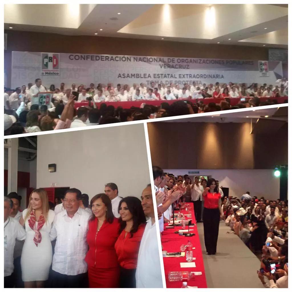 DelPinoRichard's tweet photo. Felicidades!! por su nombramiento como Dirigente de la @CNOPVeracruz @ErikaAyalaR #TodosSomosCNOP #YoSoyRichard http://t.co/u0sLJiXfYY