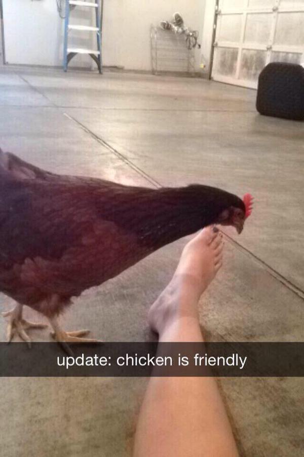 Tumblr Posts tweet media