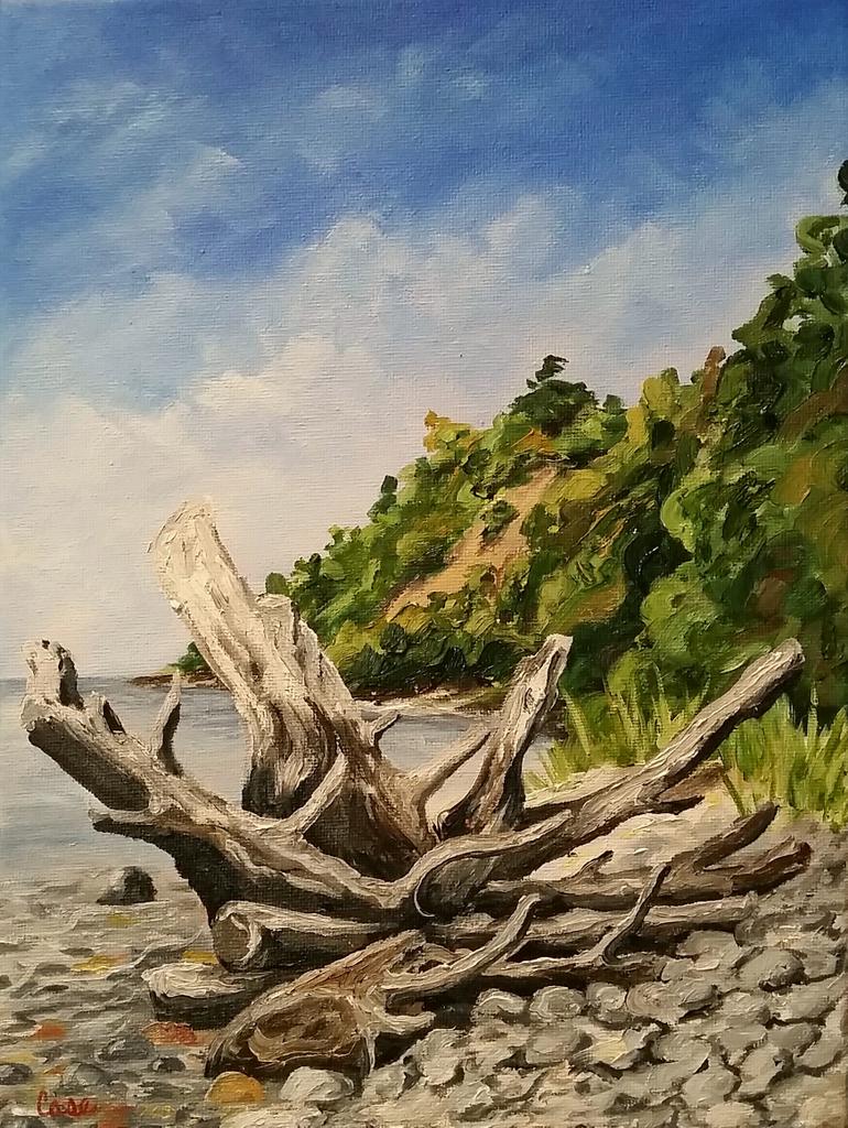 Uprooted 12 x 9 #oiloncanvas #pleinaire #adventurepainting #shoreline #LakeMichigan #painting caseart.ecwid.com