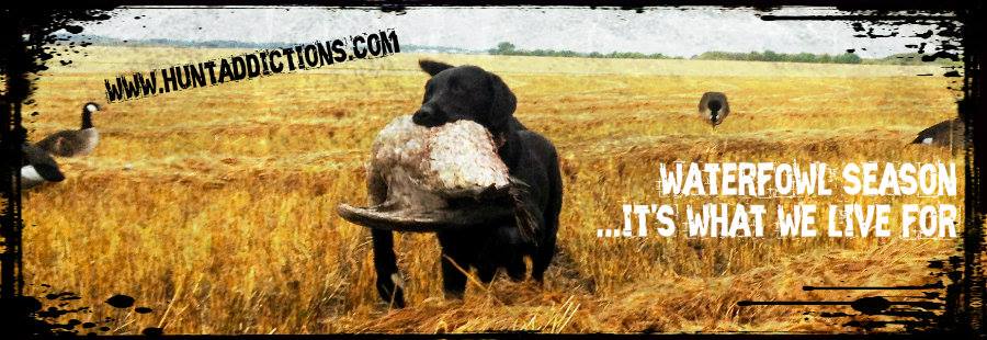 HuntAddictions's tweet image. RT if you agree! #hunt #waterfowl

huntaddictions.com