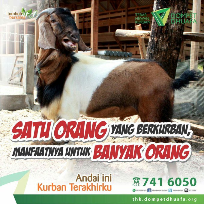 Ajari Anak Sejak Dini untuk Belajar Berkurban # 