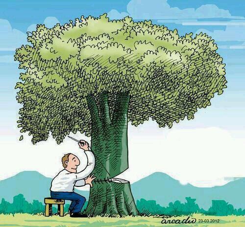 Ecogranjero's tweet photo. A reforestar!! http://t.co/nE5GLjeKuM