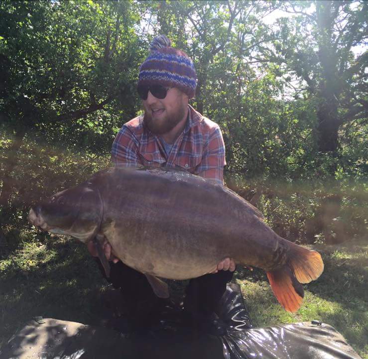 shockwavebaits's tweet image. Well done to Edd who had this 41lb mirror recently .... It took a liking to our Crunch boilies .