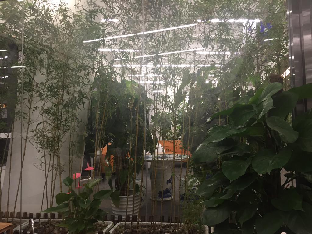 NaveenTewari's tweet image. Loved the energy of Li Tao, founder of #APUS, and they have a beautiful office. Amazing company he has built! @InMobi