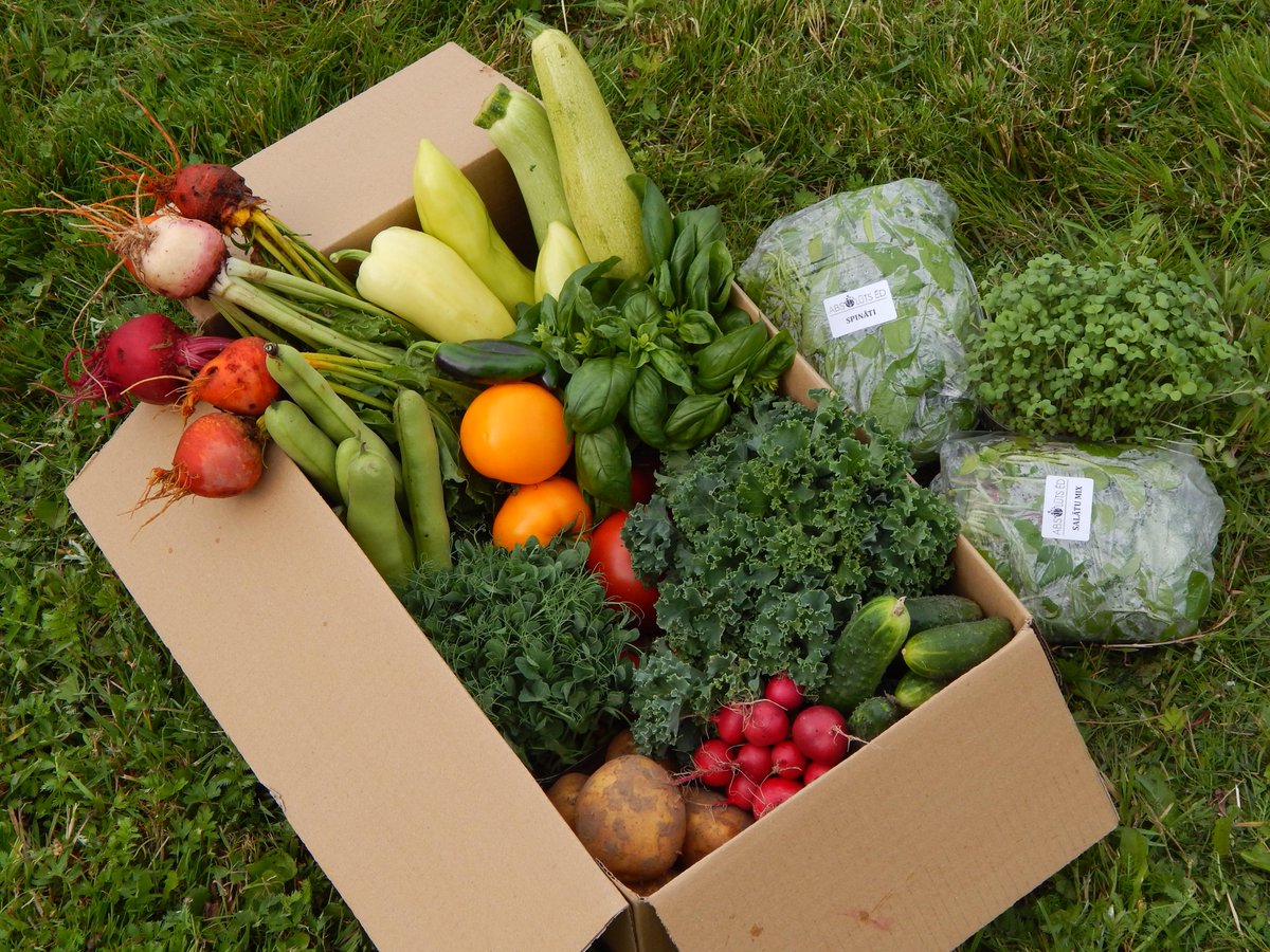 Sadarbojoties ar svaigi.lv dārzeņu kastes var saņemt mājās vakarā, pēc darba. Pasūti šeit - svaigi.lv/lv/produkti/da…