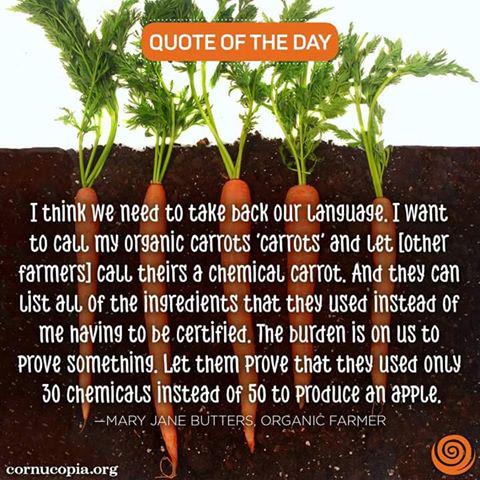 ethical_co_op's tweet photo. "I think we need to take back our language. I want to call my organic carrots ‘carrots’ and let [other farmers] ... http://t.co/mfFnWDJF8S