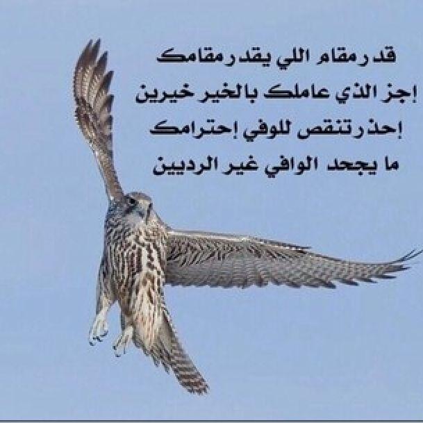 فيصل غازي (@fzghdf078195) on Twitter photo 