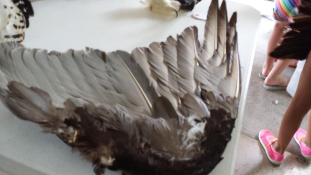 ekisner21's tweet image. 