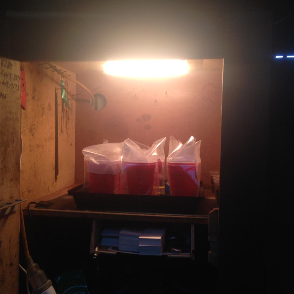 JustChilliPage's tweet image. My setup :D germinating Carolina Reaper !!