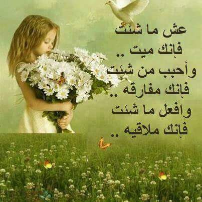 SALAH (@salah_dz213) on Twitter photo 