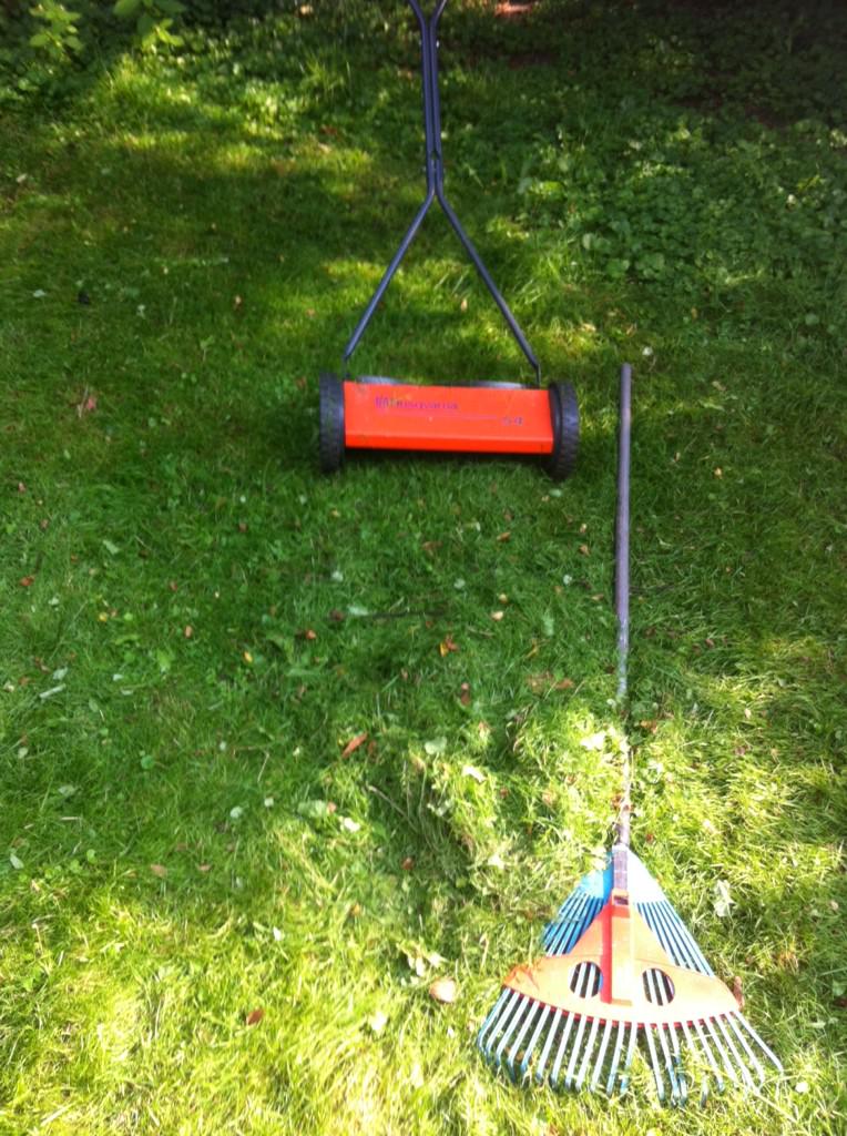 Uurtje trainen <a href="/RoelBraas/">Roel Braas</a> style #burgerleven