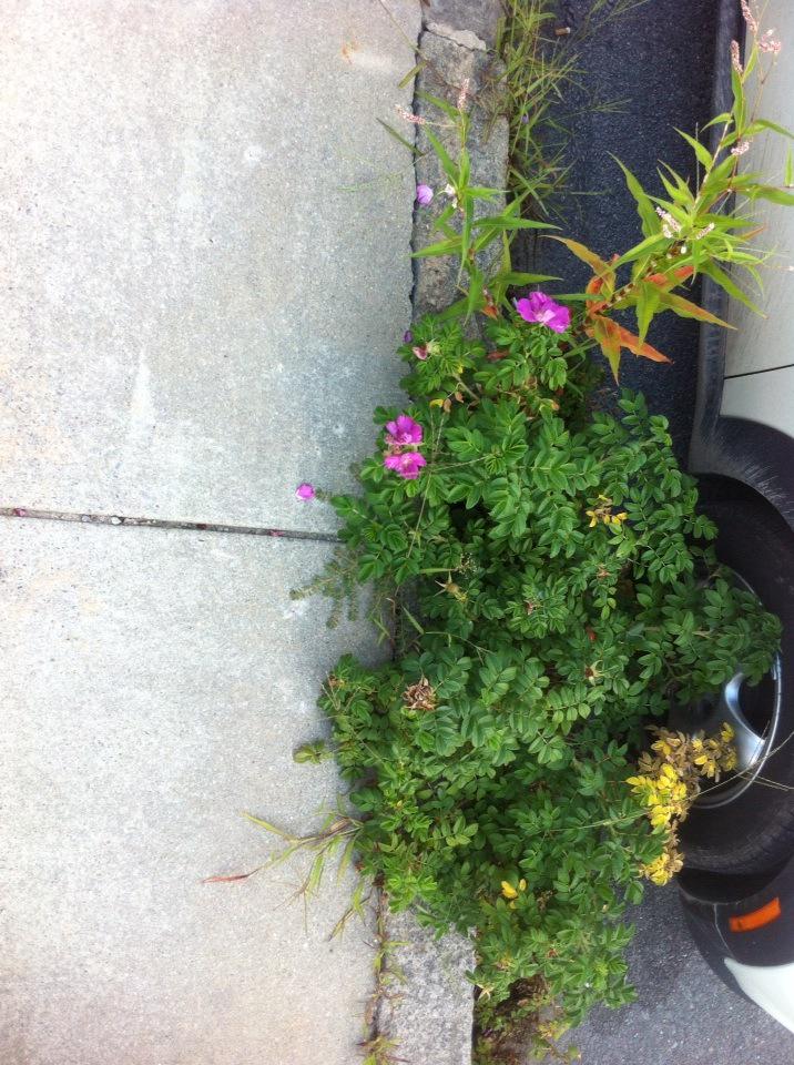 F_ofHealth tweet picture