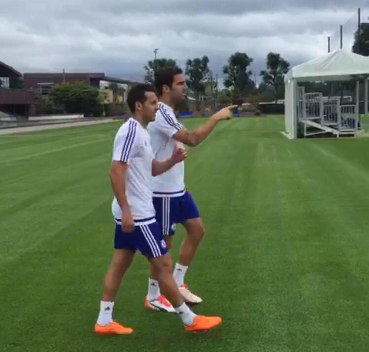 SuperBlues_CFC's tweet photo. "That's Diego Costa if you need drugs, he's your man" http://t.co/nQJSd8W1Jz