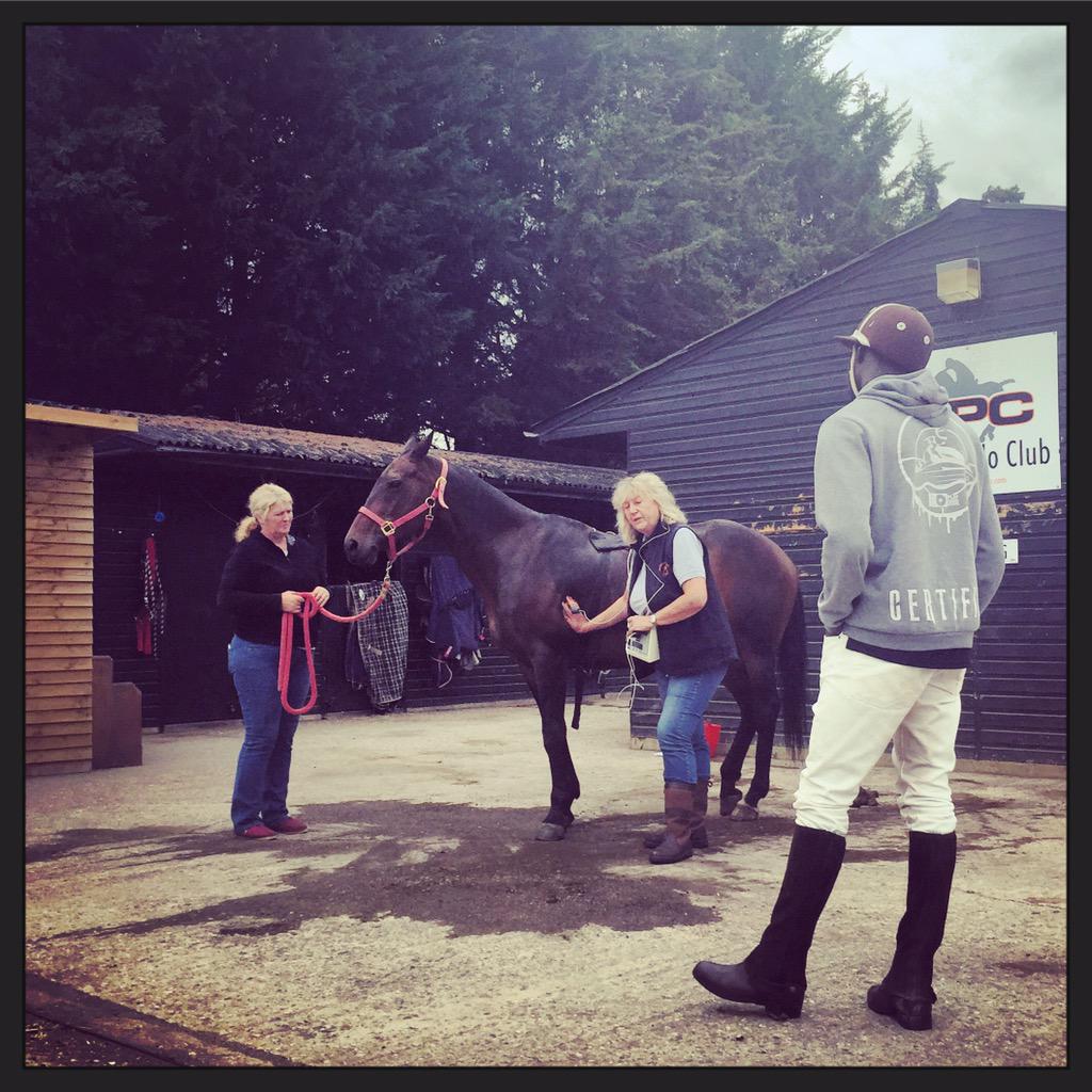 velsburylegg's tweet photo. Faradic Pulse Therapy demo by Petra Sones #sportstherapy 4 #polo #ponies &amp; humans @powerofpolo course @ponywelfare http://t.co/56s1hz6SxO