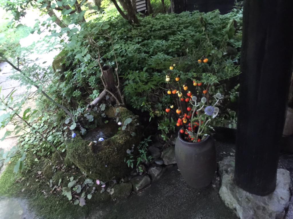 마이콜! 힘내잣!!아잣!!아잣!! tweet media