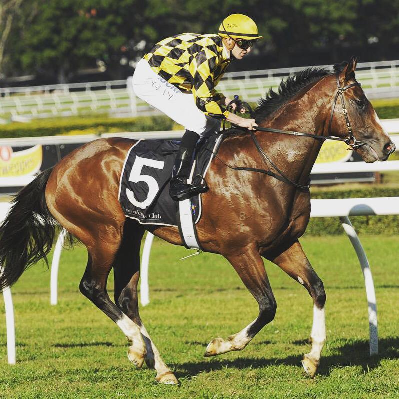 BhimaTBreds's tweet photo. Congrats to @Paulmessara &amp; @ArrowfieldStud on the win of our grad #ScissorKick - NSW Country Champ Horse of the Year! http://t.co/PEH3m5h2W2