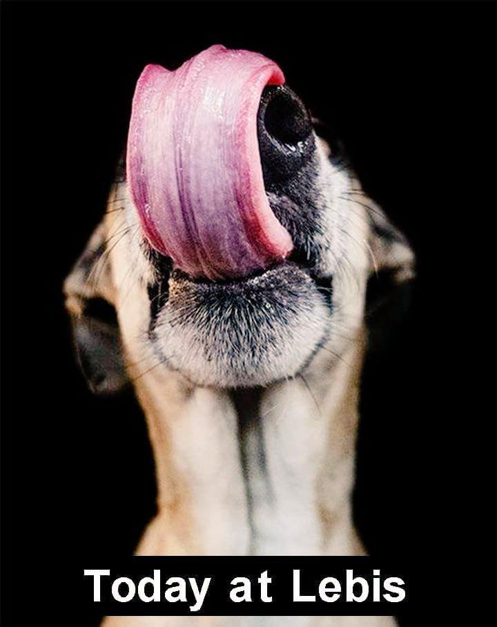 Ya sabéis antes de bajar a la feria. <a href="/PubLebistrot/">PubLebistrot</a>