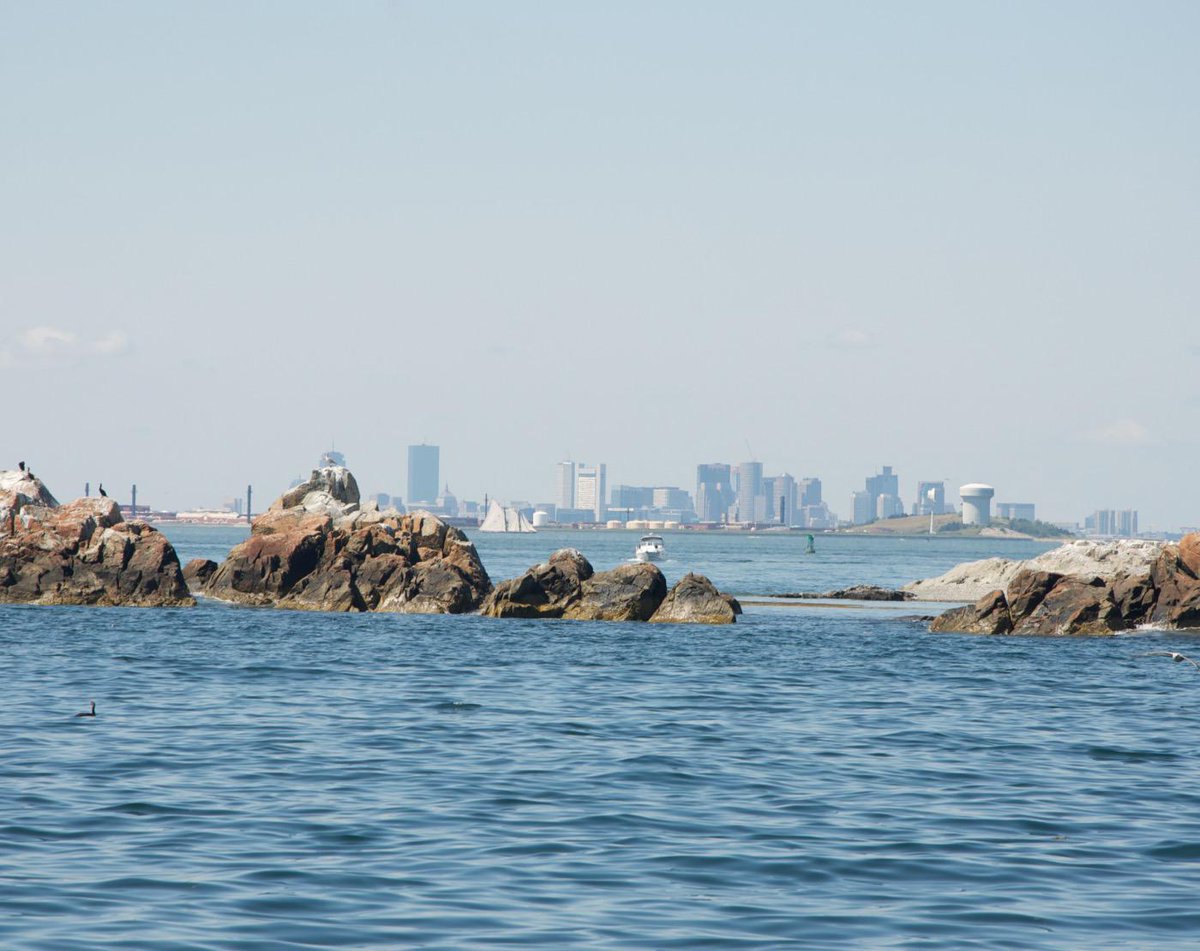 BHBeacon's tweet photo. Boston view from the ledges around Green Island. Lots of birds out here, not many people though http://t.co/fcvVxi9ETc