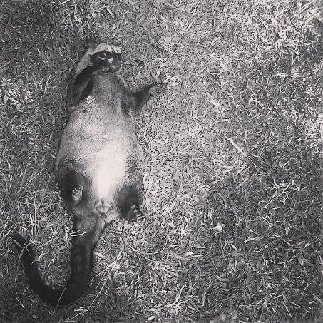 Huih huiiiih PW banget dah aahhhh....