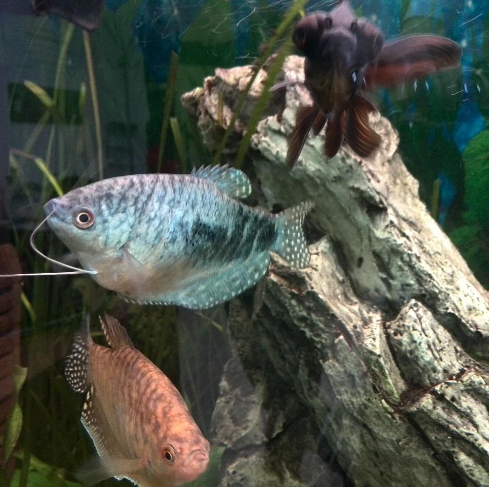 ФК Старт-Инвест tweet media