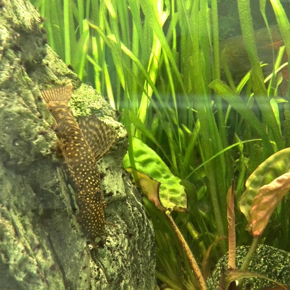 ФК Старт-Инвест tweet media