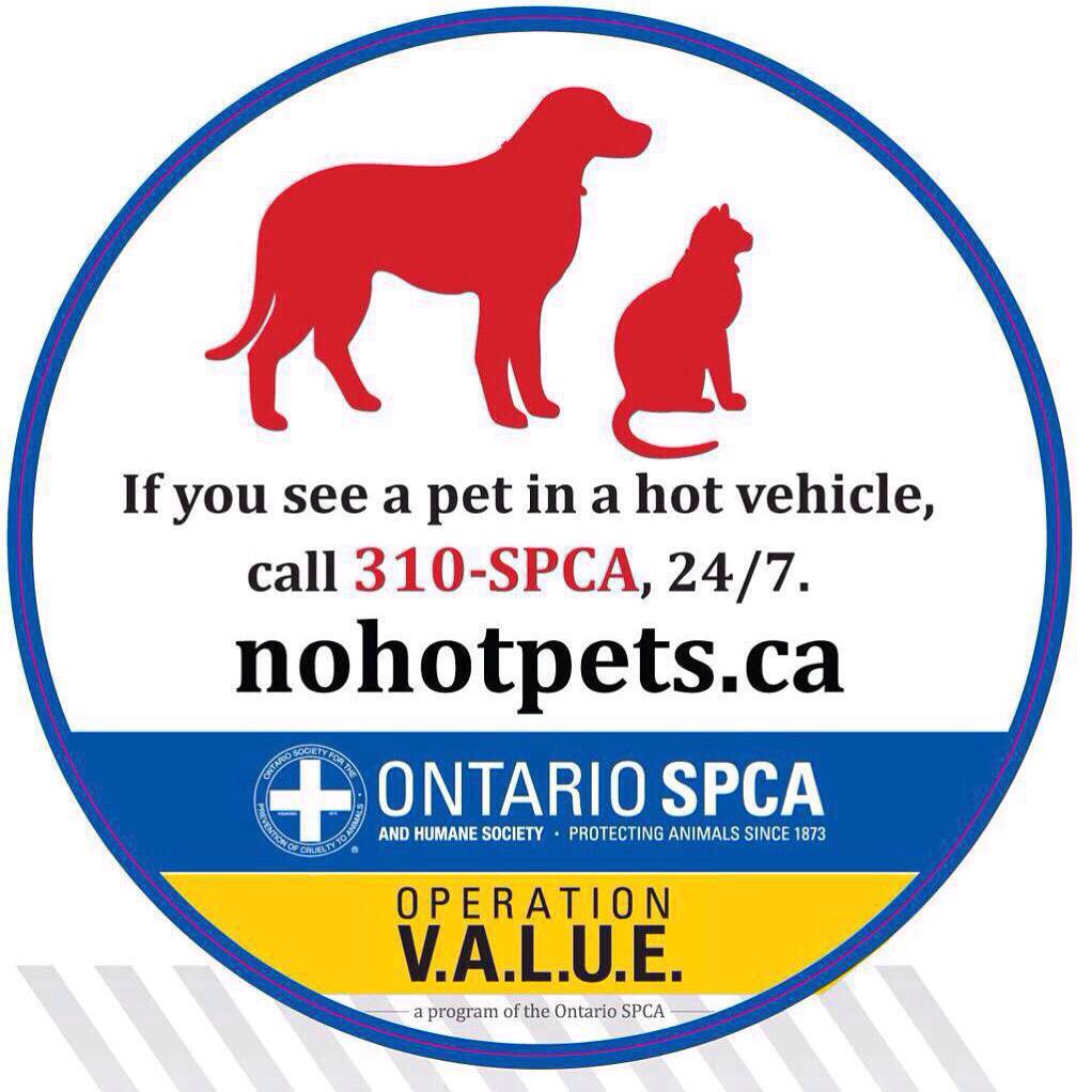 SouthSimcoePS's tweet photo. Looking forward to partnering with @OntarioSPCA today as we launch #OperationVALUE. Partners in Community Safety. http://t.co/XzrYL1mB1c