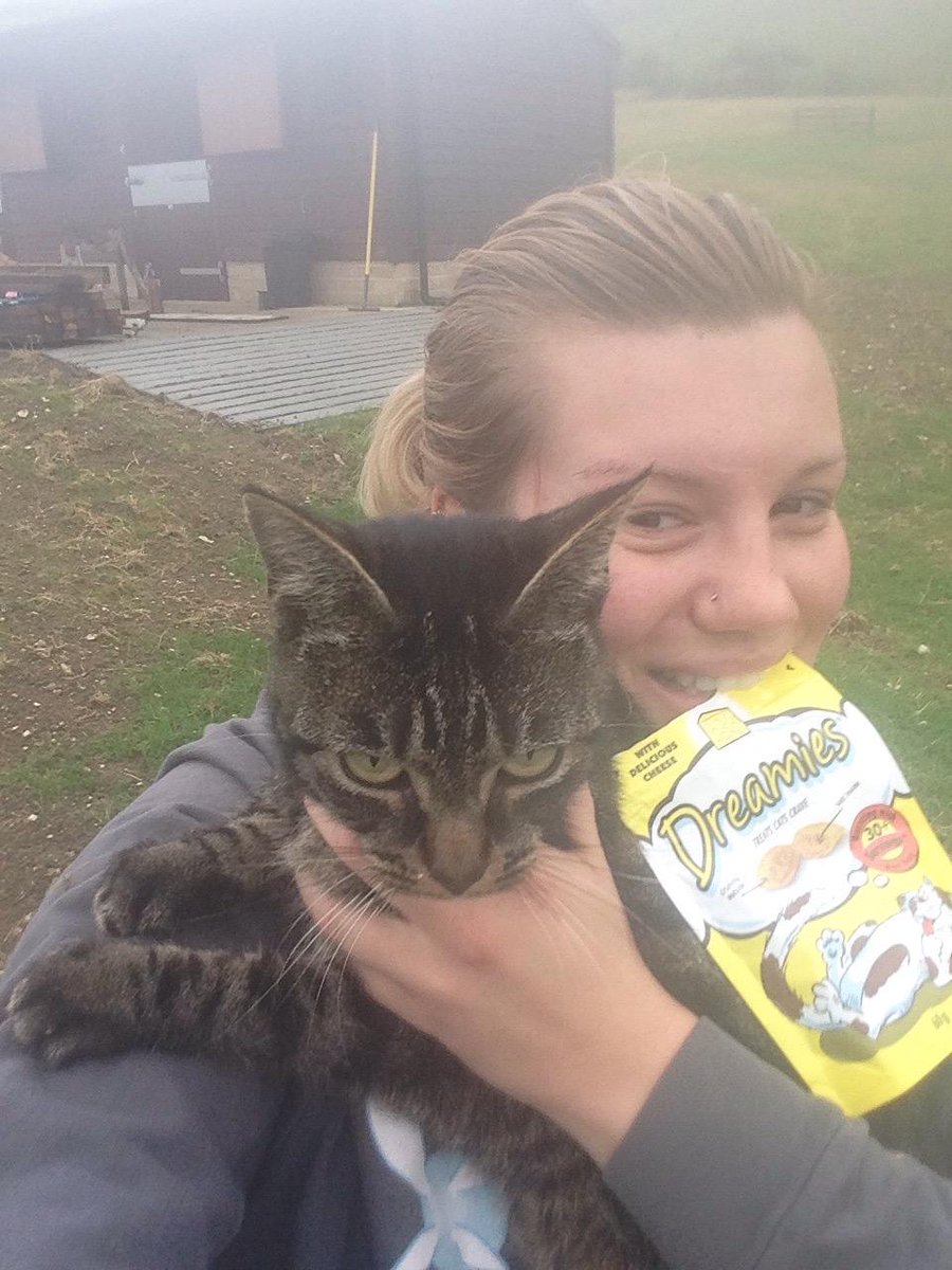 Thank you for helping me find my darling girl after a long 3 days. Couldn't have done it without these! <a href="/DreamiesBot/">DreamiesBot</a>