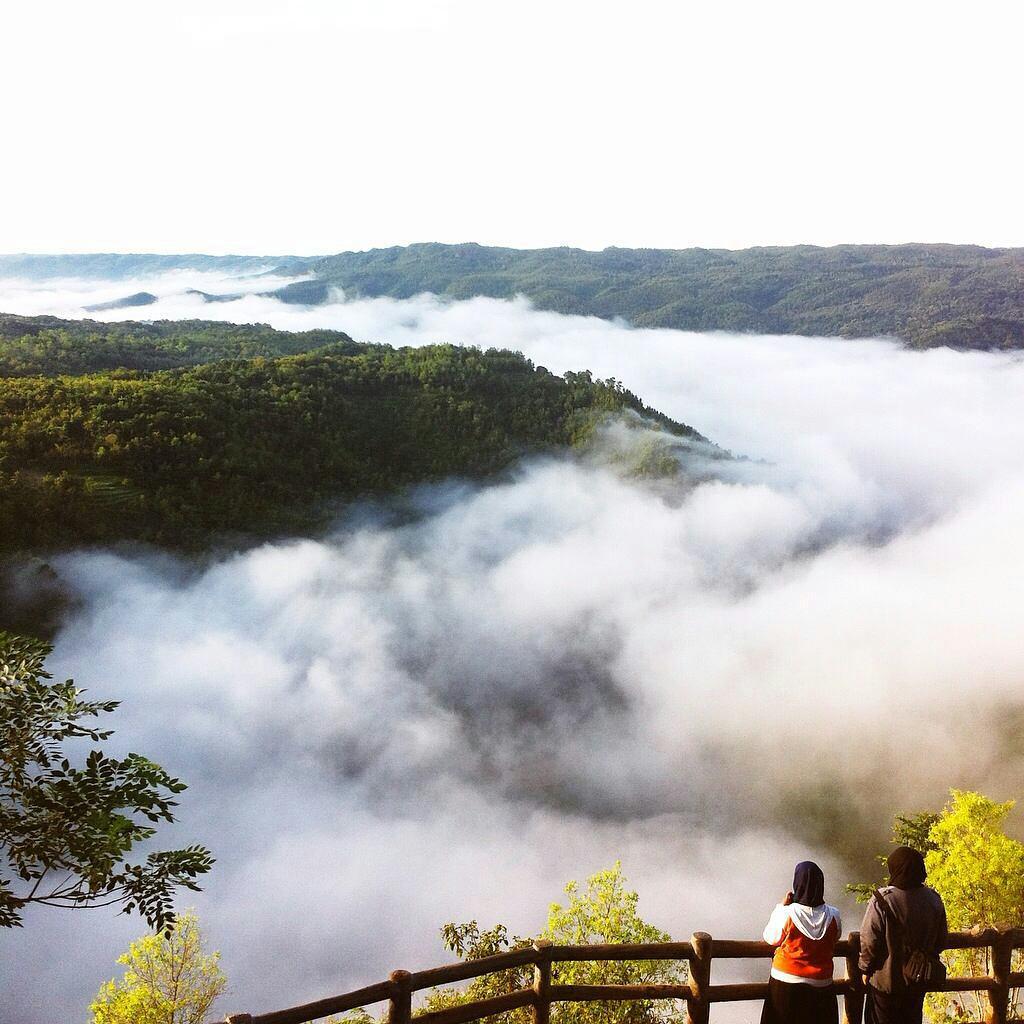 Jogja24Jam's tweet photo. Pagi yg indah di Taman Buah Mangunan. 📷 ; denisadhitya http://t.co/P9bBbEwS80