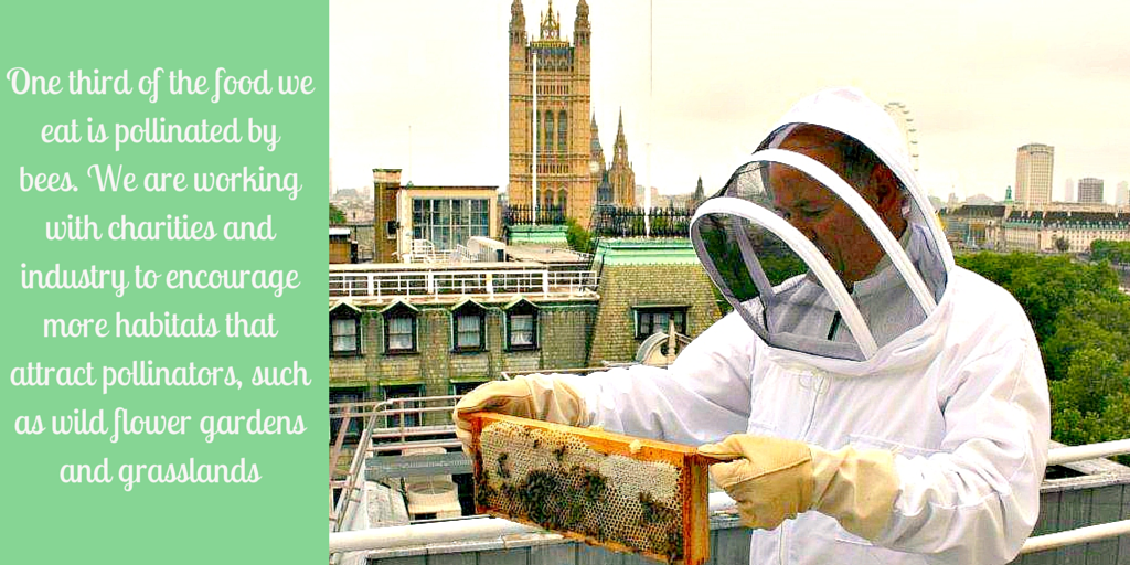 Pollinators play a key role in securing our food industry #farm24 #beesneeds