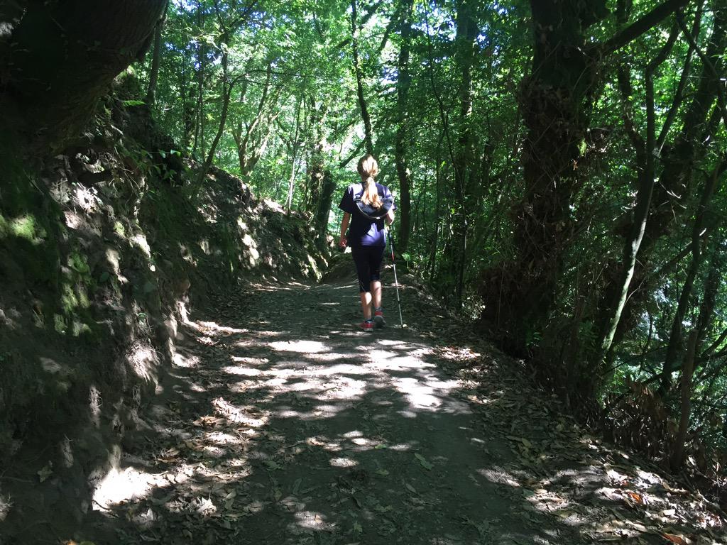 fjesteban's tweet photo. Bosques de #Valgas @julia_baabii http://t.co/cGudYlWXbB