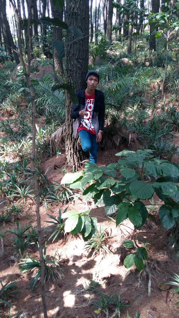 Arhii Alvaradit (@adjie_ariea) on Twitter photo 