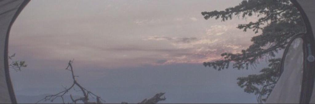 illicithowell's tweet image. 