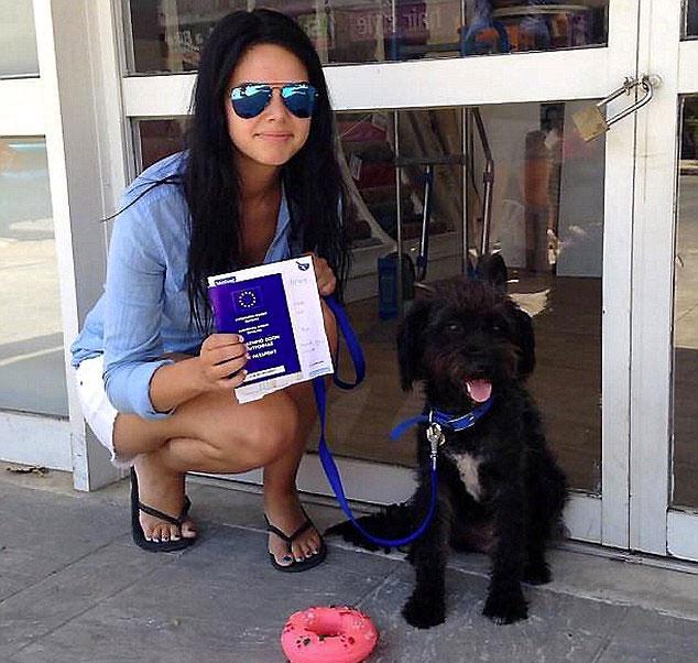 SwanseaOnline10's tweet photo. This stray dog saved her from creepy men in Greece, so she flew back to bring it home http://t.co/Moj68y9vtq #Quirker http://t.co/WuHOlRmeTz