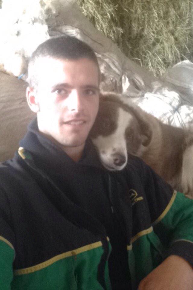 MarcusTucks's tweet photo. This legend is always doing his but to cheer me up. Especially when I'm the #chunderking #legenddog #bestmate http://t.co/So0rAymDcU