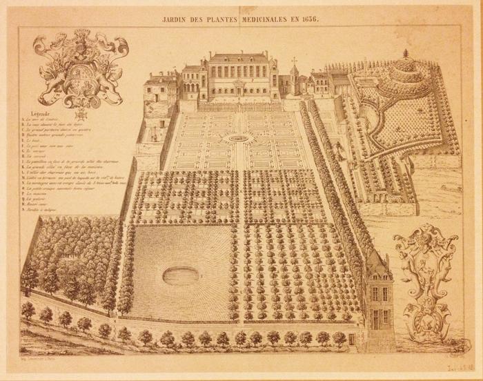 LaureSimian's tweet photo. 68M de spécimens, 106 collections... L'histoire de @Le_Museum dans une belle expo-dossier à la #galeriedelevolution http://t.co/75djQYmg8g
