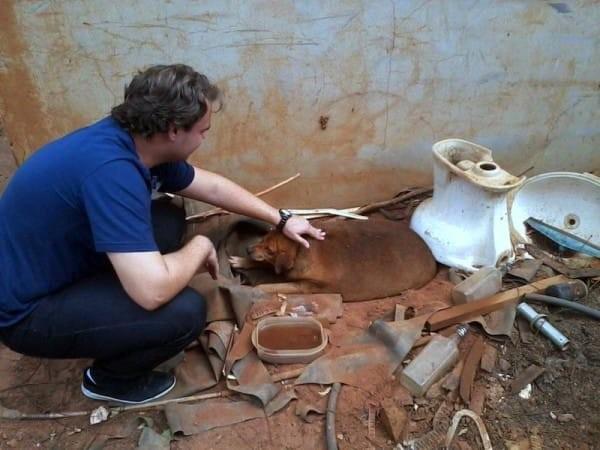 Buzz_Legend's tweet photo. This #Overweight #StrayDog Made A Stunning #Transformation. #dogrescue #dogrescuers #dog
via http://t.co/C0YCiV2YO6 http://t.co/FQsAsIaTGX