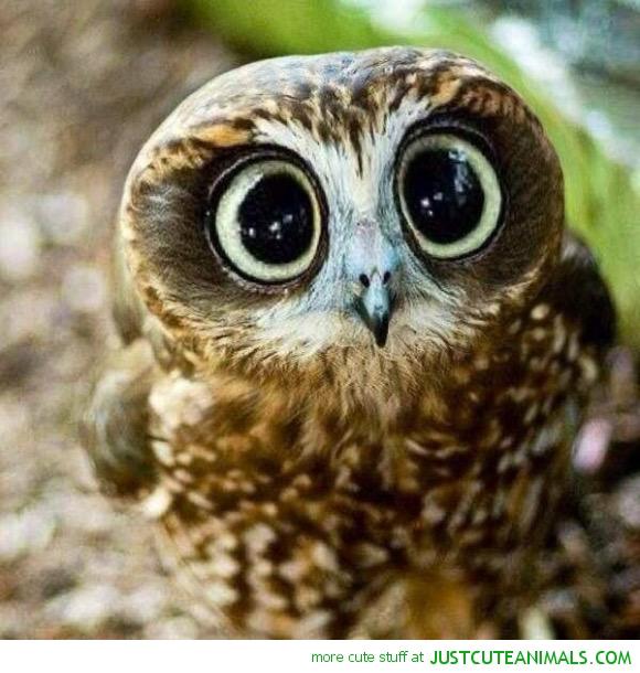90Jenna's tweet photo. Just drank 2 cups of coffee. Now I'm like this... #caffeine http://t.co/Pnzih099Ut