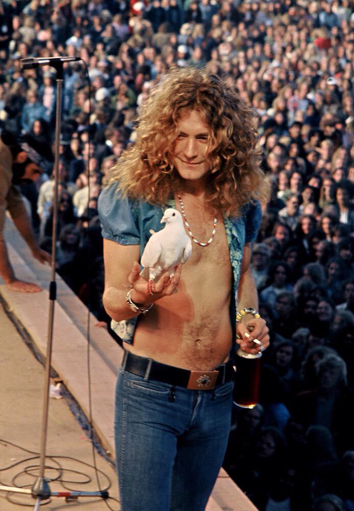Happy birthday to Robert Plant he is 67 today.  