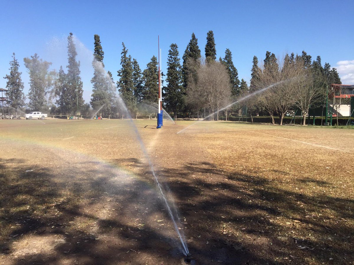 seba lópez fleming tweet media