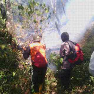 Petugas dan sejumlah relawan pencinta alam berusaha memadamkan api yang terus meluas #SaveCiremai