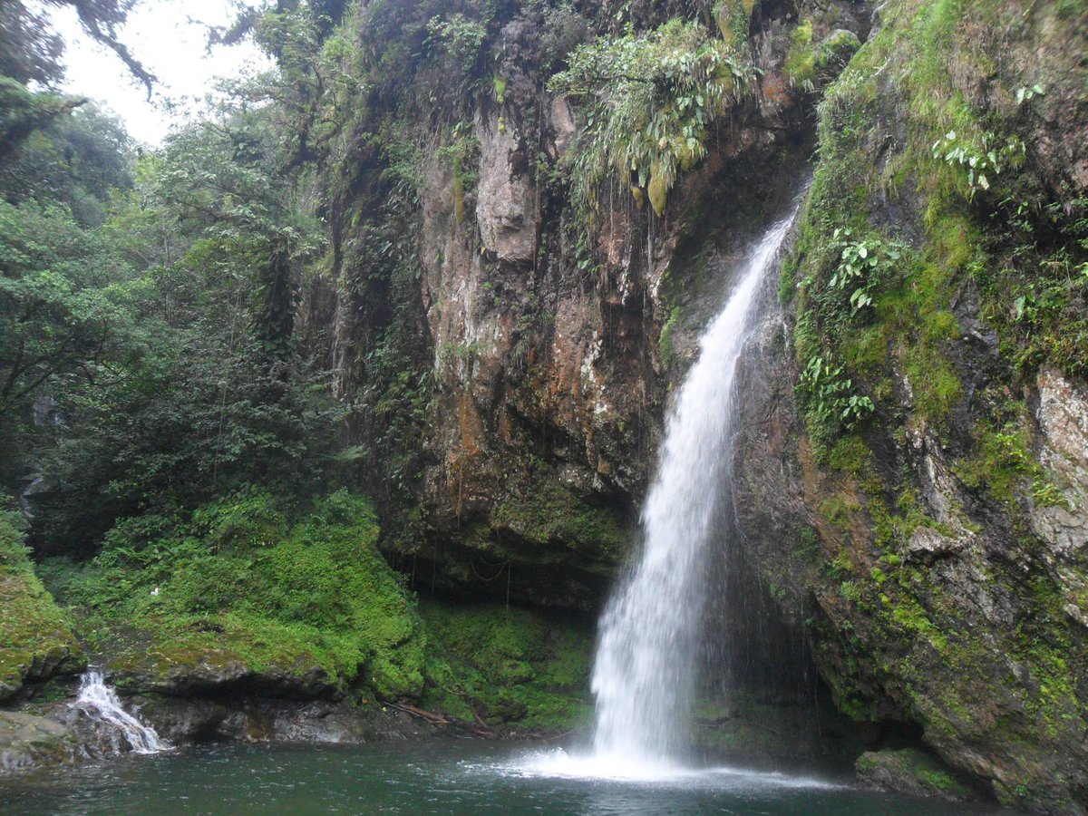 DONDEIRweb's tweet image. ¿Listo para tomarte la selfie en este hermoso lugar?, checa la ruta para visitarlo: bit.ly/1HUvOsk