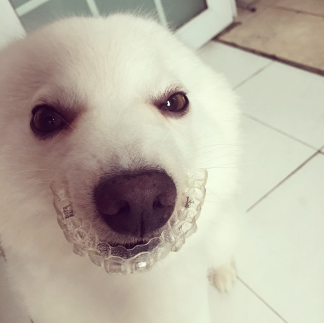 Caption this photo!  (Photo credit: Vicky Liao) #InvisaLIFE #Instagram